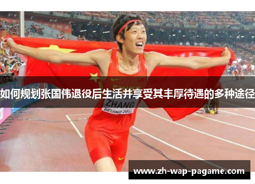 如何规划张国伟退役后生活并享受其丰厚待遇的多种途径