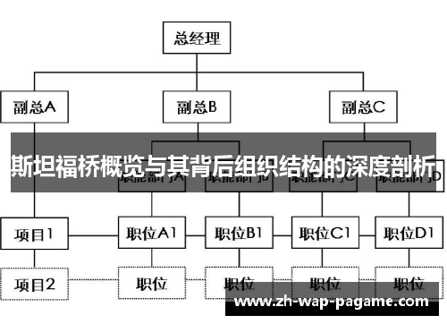 斯坦福桥概览与其背后组织结构的深度剖析